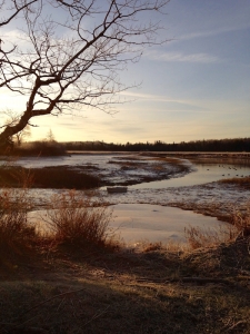 sunrise on the pleasant river in addison