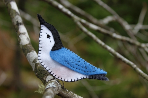 white-breasted-nuthatch