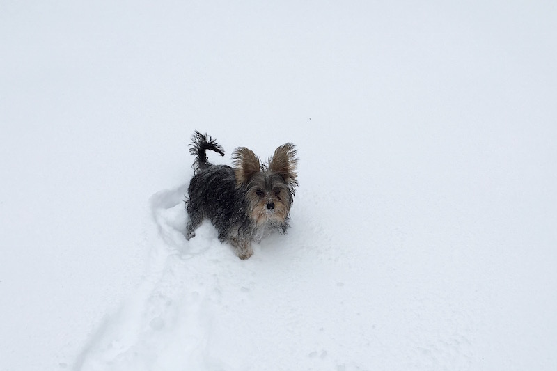 Winter’s First Big Snow