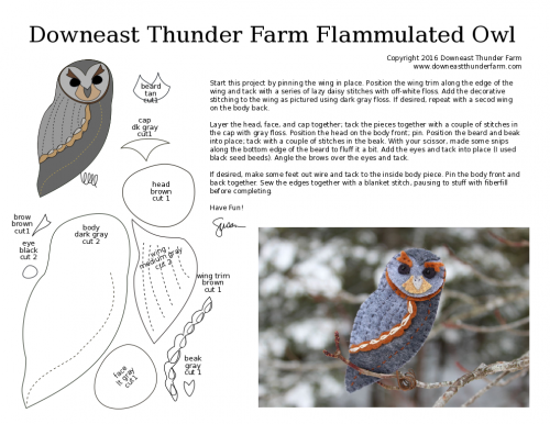 flammulated-owl