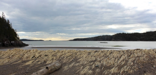 looking out from the bluffs at Jasper Beach