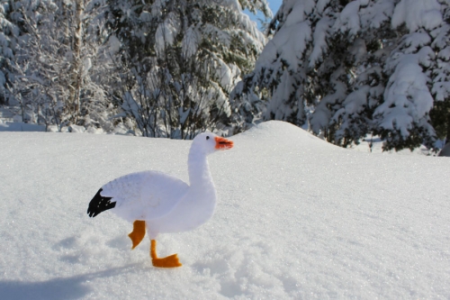 snow goose felt pattern