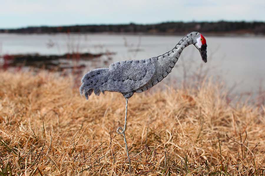 The Elegant Sandhill Crane