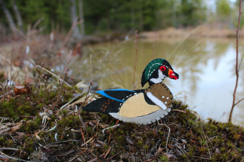 wood duck printable pattern