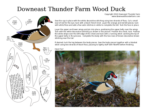 wood duck ornament pattern