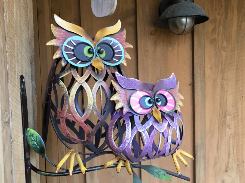 Owls Among Us