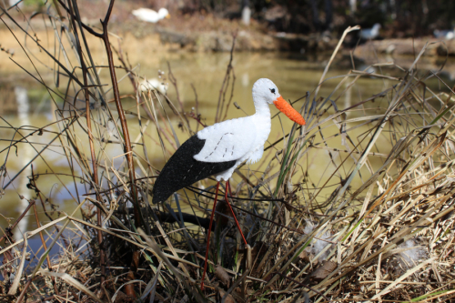 printable white stork pattery