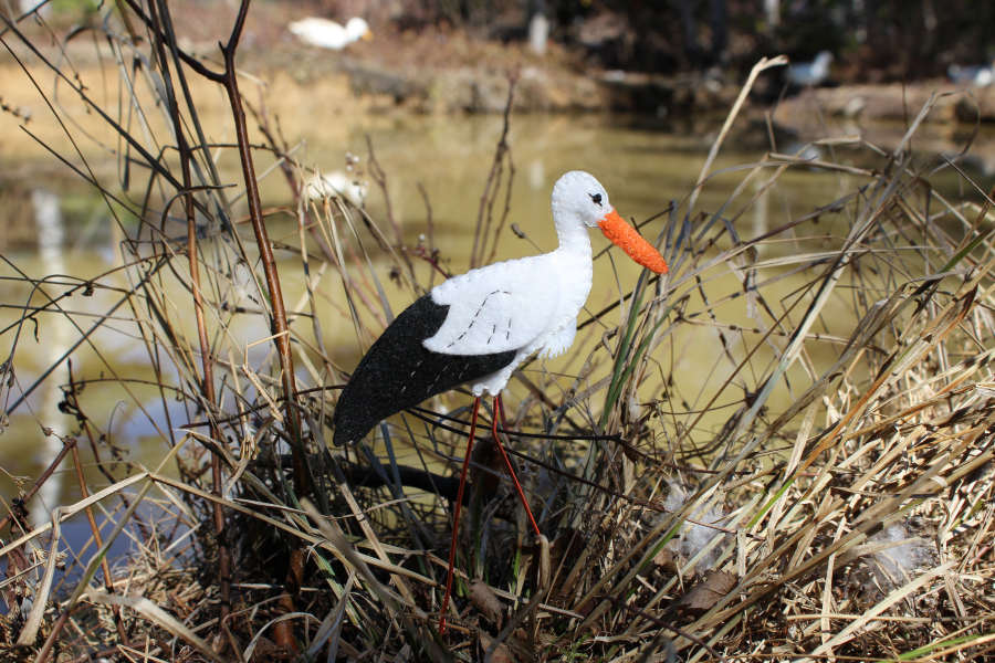 The Wonderful White Stork