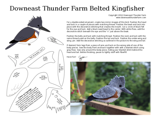 belted kingfisher pdf pattern printable