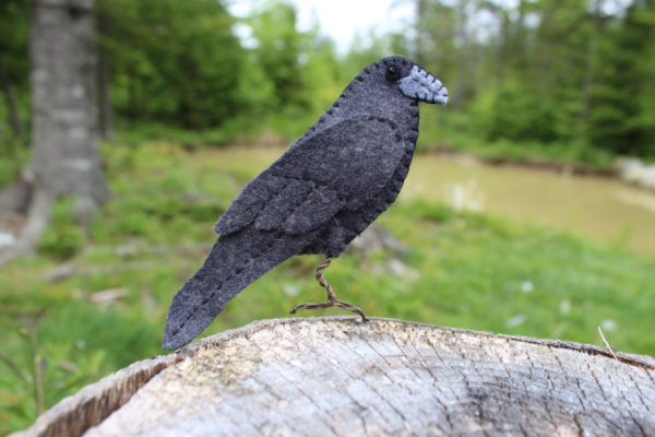 Raven Kit - Image 2