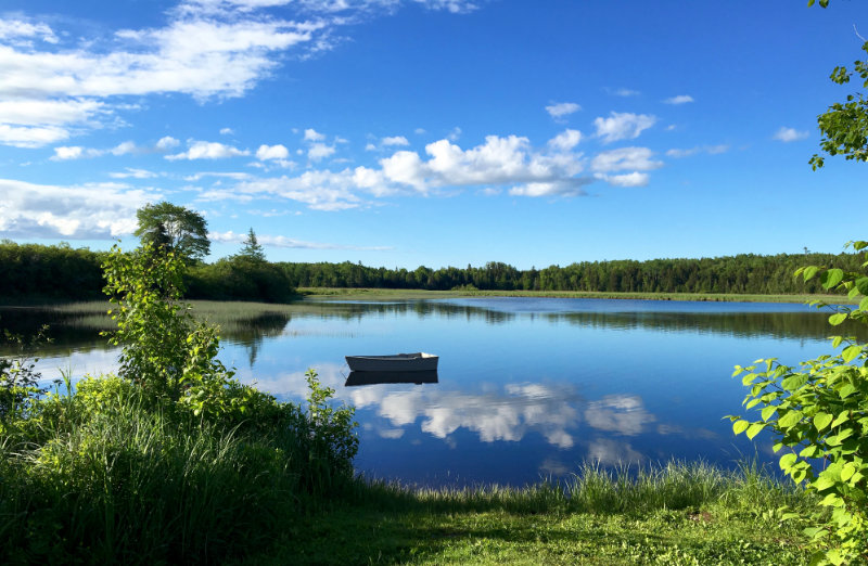 Picturesque Pleasant River