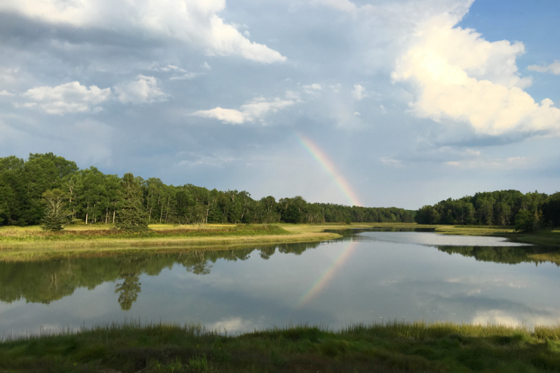 Chasing Rainbows