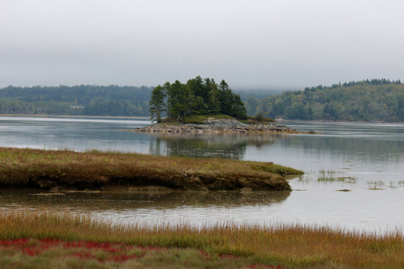 Island in the Mist