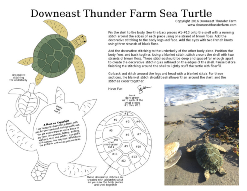 sea turtle pattern