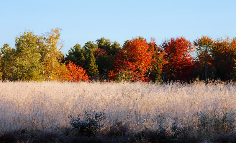 Autumn Dawning