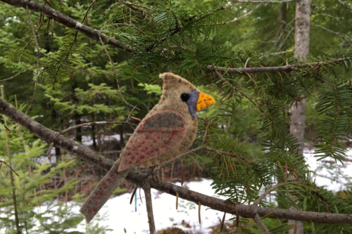 female cardinal