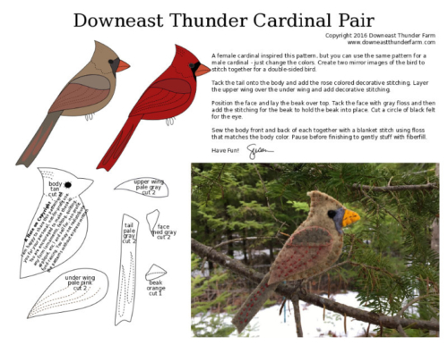 male and female cardinal pattern