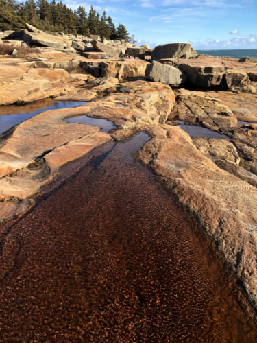 winter tidal pools at schoodic point