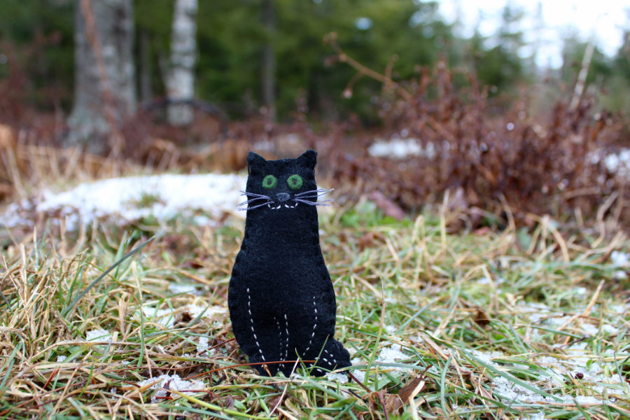 Downeast Thunder Farm Boo Kitty