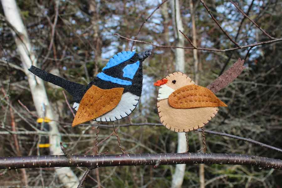 The Superb Fairy-wren