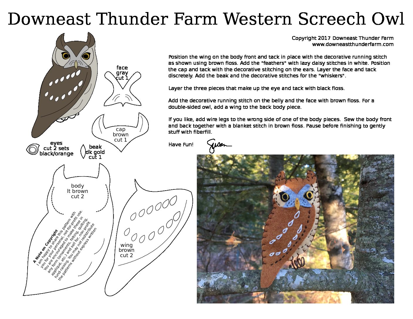 The Watchful Western Screech Owl