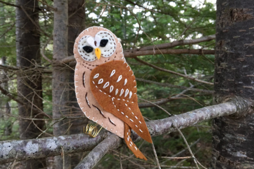 woodland barred owl plan pdf
