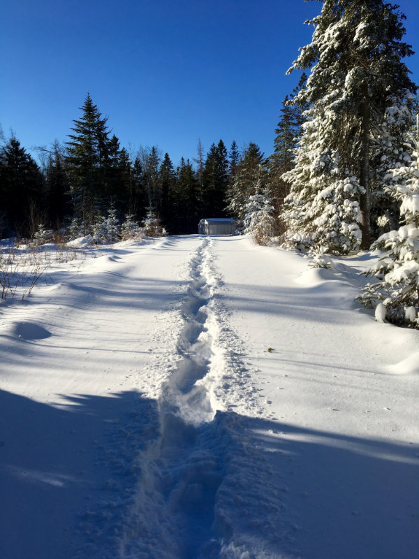 With February Comes Winter