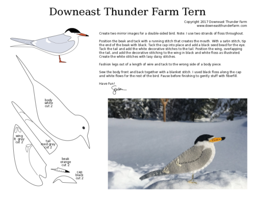 roseate tern pdf pattern