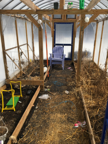 greenhouse ready for spring cleanup