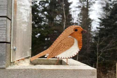 European Robin printable pattern