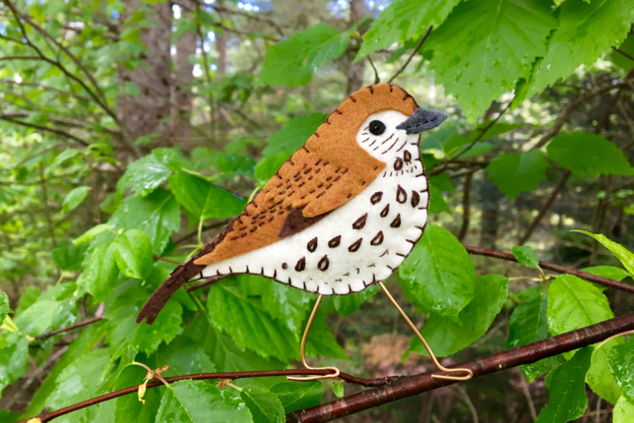 The Wonderful Wood Thrush