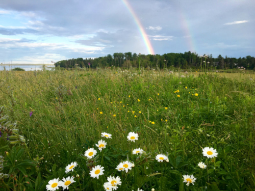 rainbow over the milbridge commons