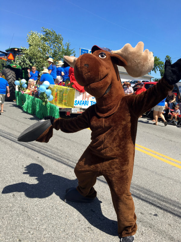 The Dancing Moose