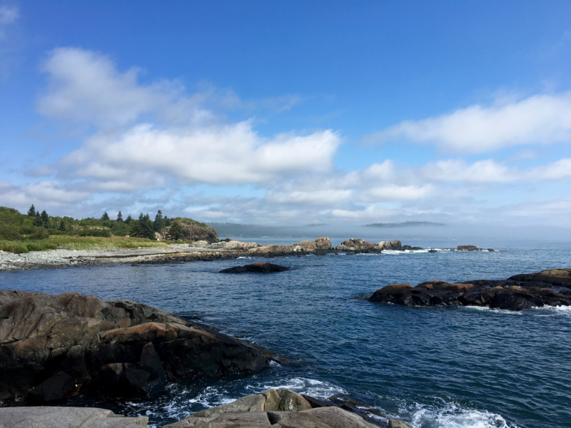 Bog Brook Cove Revisited