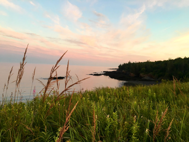 Bog Brook Cove Bluff