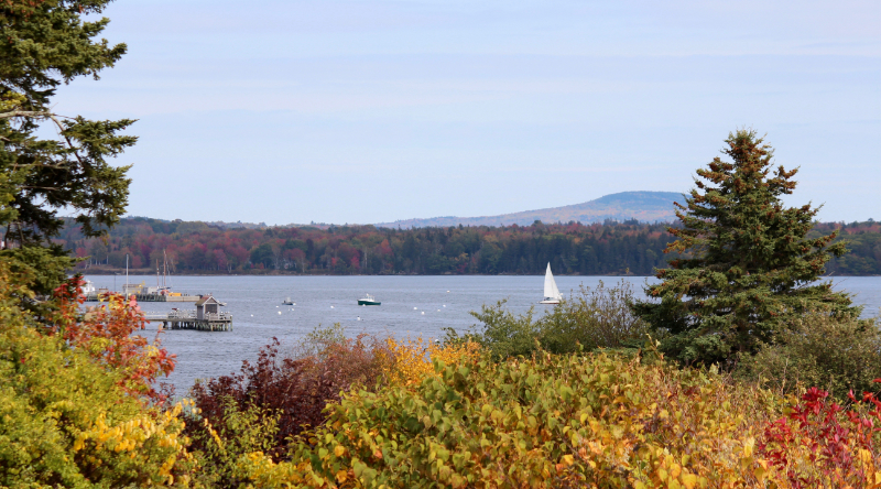 Out and About in Castine