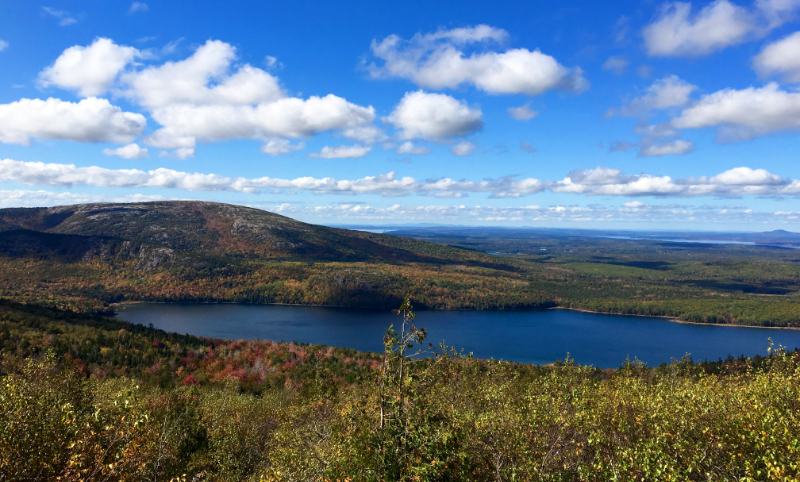 Autumn on Cadillac