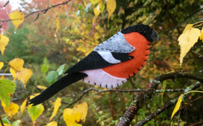 The Busy Bullfinch