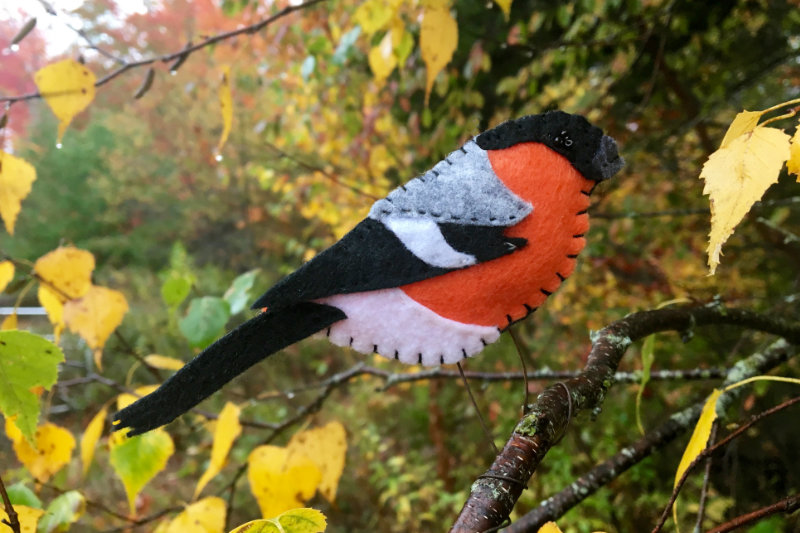 The Busy Bullfinch