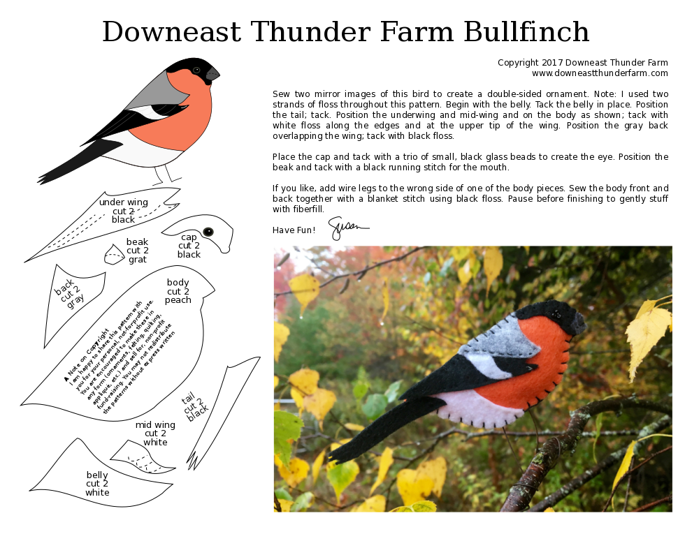 printable bullfinch pattern