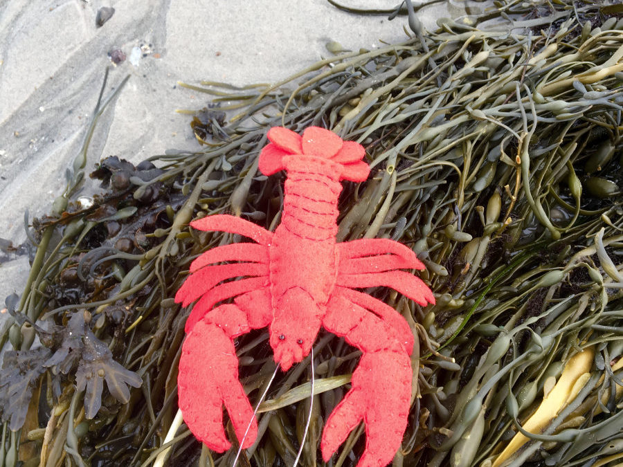The Lonesome Lobster