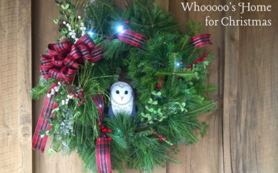 Whoooo’s Home for Christmas