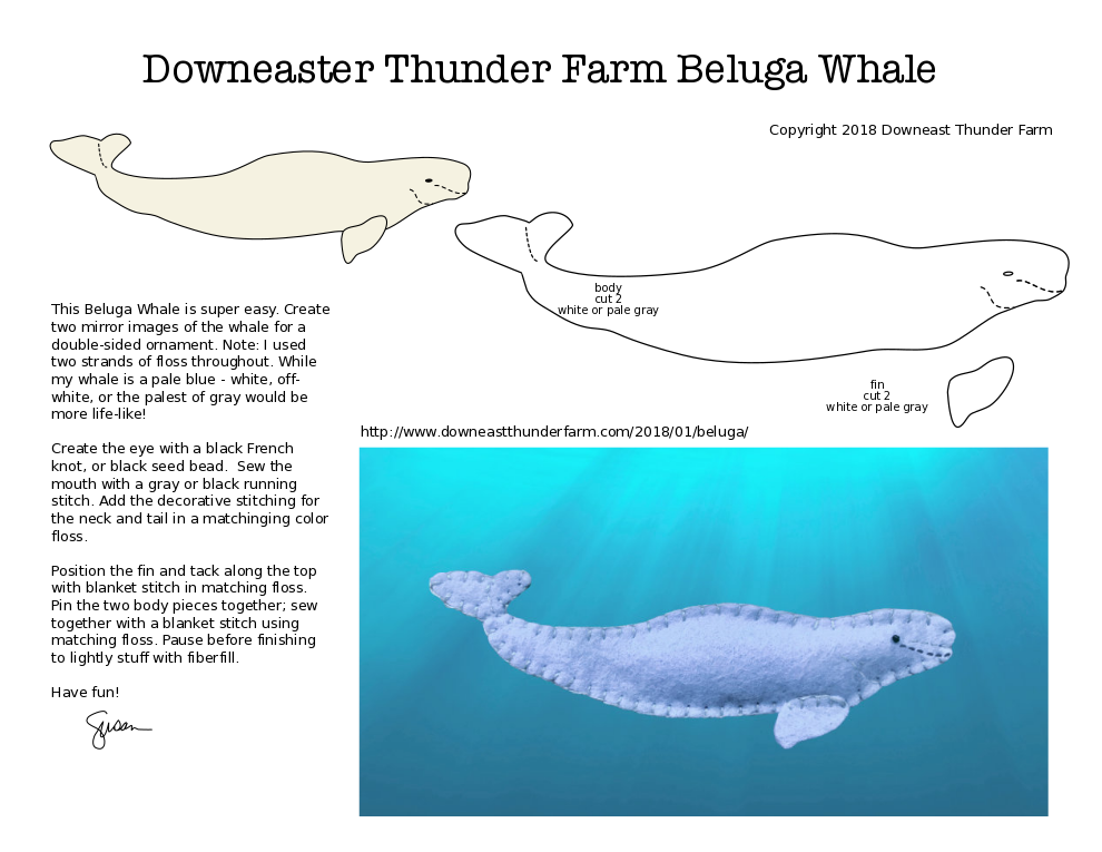 The Gregarious Beluga Whale pattern from Downeast Thunder Farm