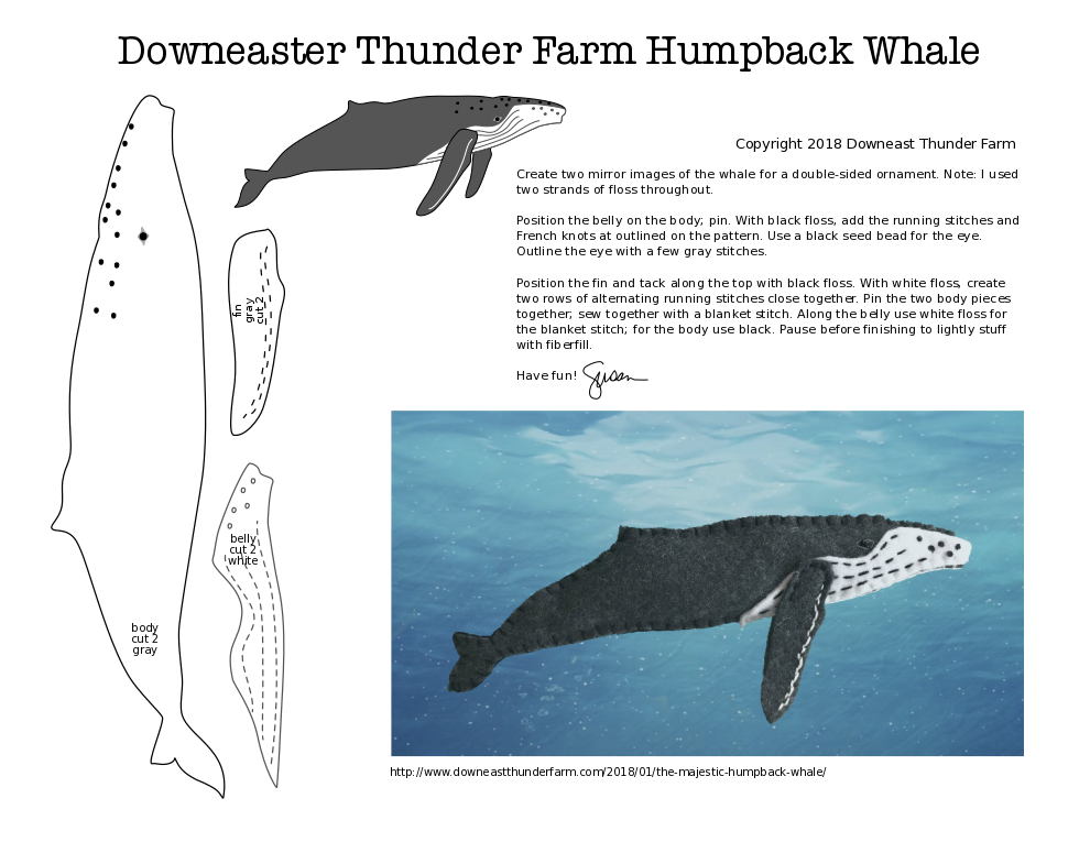 Humpback PDF pattern for download at Downeast Thunder Farm