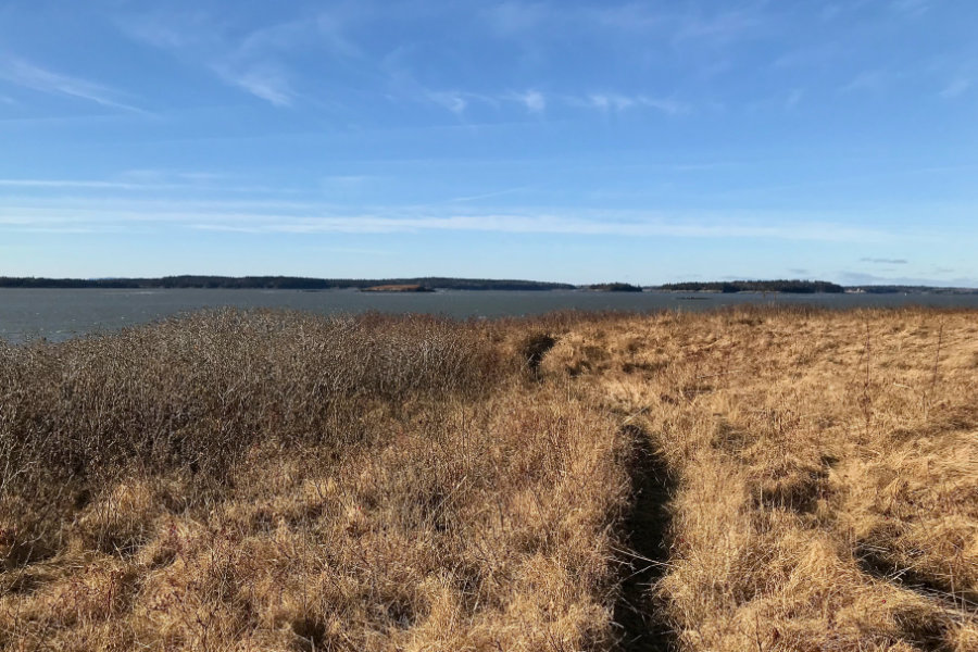 the bluffs at Cape Split