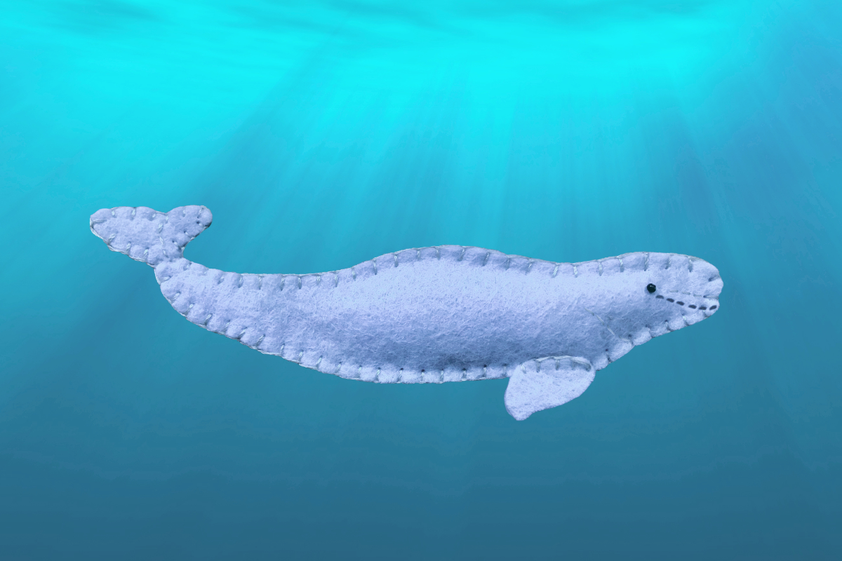 A free printable Beluga Whale pattern from Downeast Thunder Farm