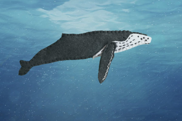 humpback whale felt pattern
