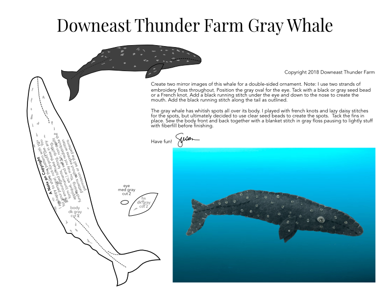 Gray Whale