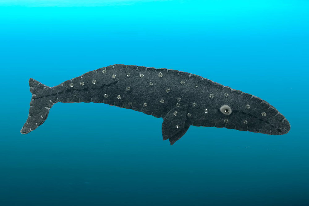 The Gentle Gray Whale