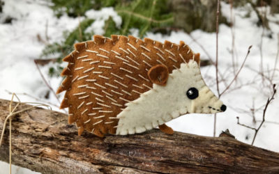 Happy the Hedgehog